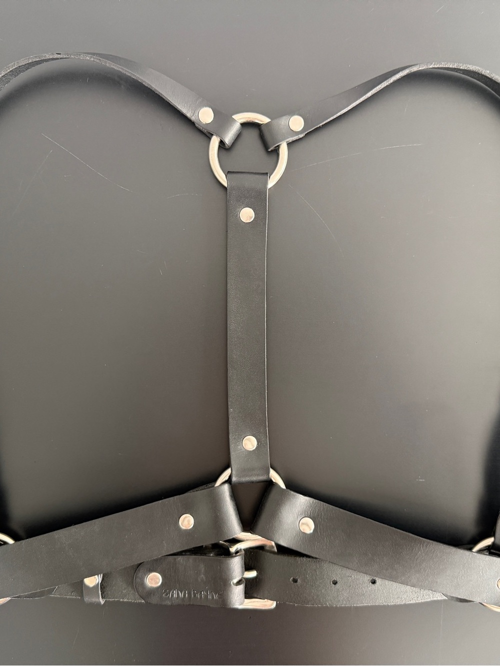 ZANA BAYNE - Signature Harness SIZE M - Black Leather Harness - Picture 5 of 7